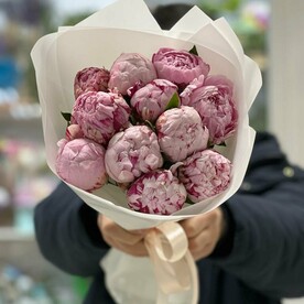 11 сочных пионов Сара Бернар