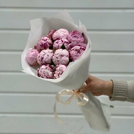 11 Шикарных пионов Сара Бернар