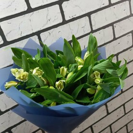 Весенний букет из 9 нежных альстромерий