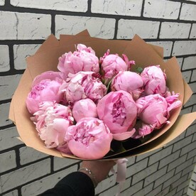 Букет из 11 розовых пионов