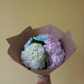 Нежный букет из 3-х гортензий