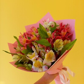 11 нежных альстромерий в дизайнерской упаковке