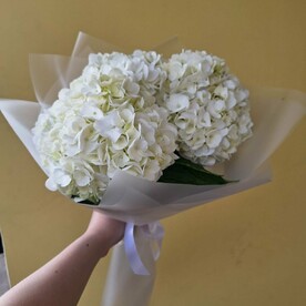 Шикарный букет белых гортензий
