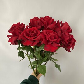 Букет красных французских роз