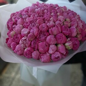 Большой букет из 101 пиона