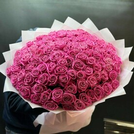 101 розовая роза