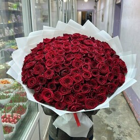 101 красная роза