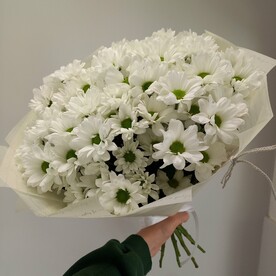 Сочный букет кустовых хризантем ❤️