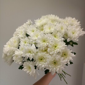 Свежий букет кустовых хризантем ❤️