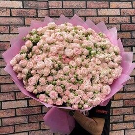 101 кустовая пионовидная роза