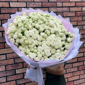 Белая пионовидная кустовая роза