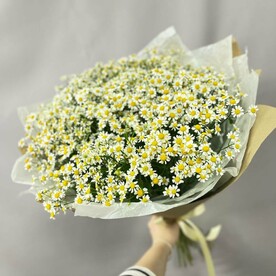 Букет "Ромашка"