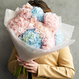 Монобукет гортензий