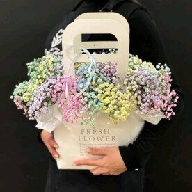 Гипсофила в сумочке XL