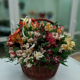 35 альстромерий в корзине