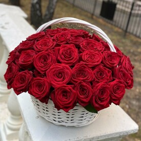 Корзина 51 красная роза