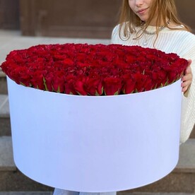 301 красная роза в коробке