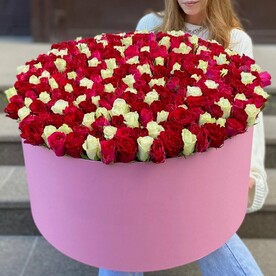 301 яркий микс в коробке