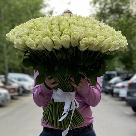 201 белая роза Россия