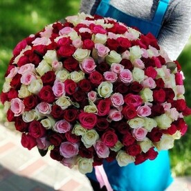 201 яркая роза Россия