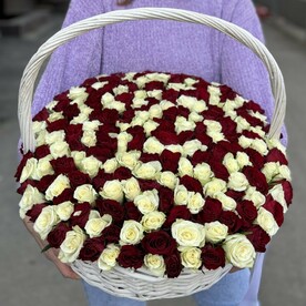 201 бело-красная роза в корзине