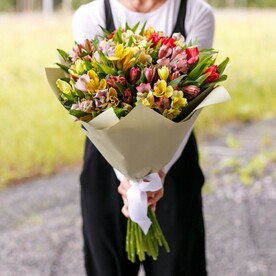 25 Альстромерий МИКС