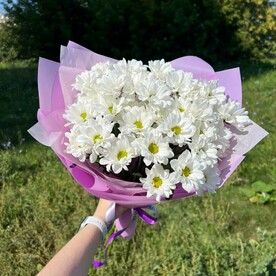 Кустовые хризантемы