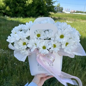 Хризантемы как ромашки