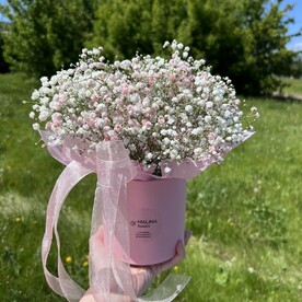 Гипсофила в коробке