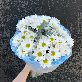 Кустовые хризантемы с эвкалиптом стойкий букет