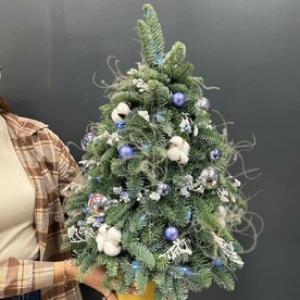 Ёлка из нобилиса с гирляндой