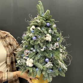 Новогодняя елочка из нобилиса