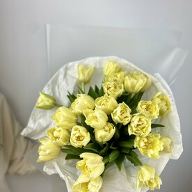 25 тюльпанов