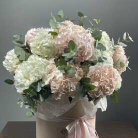 Шикарная коробка гортензий