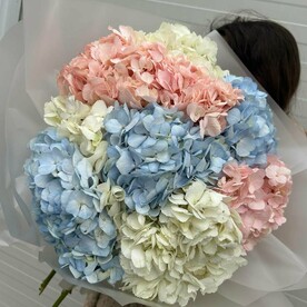 Букет 13 гортензий