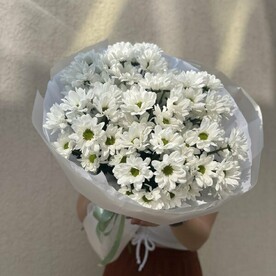 Букет белых ромашковых хризантем