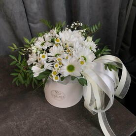 Ромашки в шляпной коробке