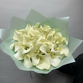 Каллы белые