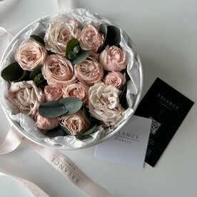 Розовые сновидения