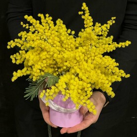 Мини композиция с мимозой