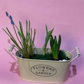 Композиция с первоцветами