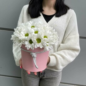 Ромашковый комплимент