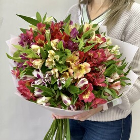 Букет из 25 альстромерий микс Букет 37