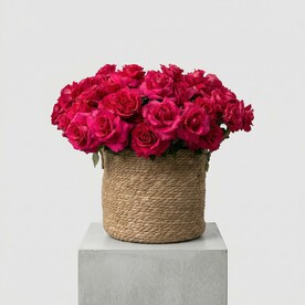 Большой букет розовых роз в плетеном кашпо 506