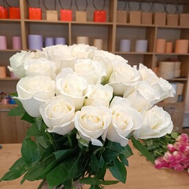 19 белых/кремовых роз с ленточкой