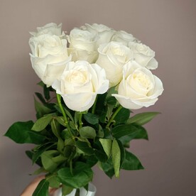 11 белых пионовидных  Роз с ленточкой