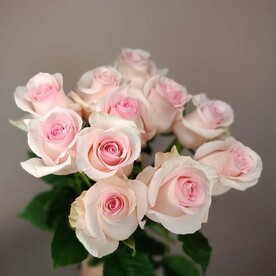 11 розовых роз с ленточкой