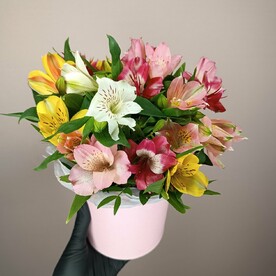 Альстромерии в коробочке