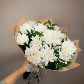 Белые хризантемы с зеленью