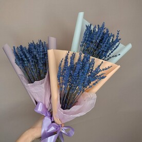 Лаванда стабилизированная